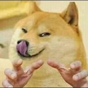 Meet your Posher, Fiona